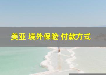 美亚 境外保险 付款方式